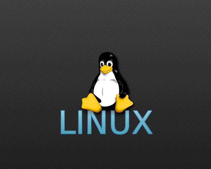 Как правильно установить ОС Linux
