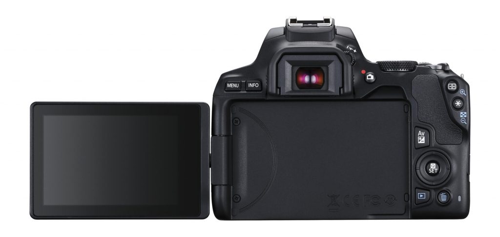 Canon представила новую недорогую зеркальную камеру Canon EOS 250D