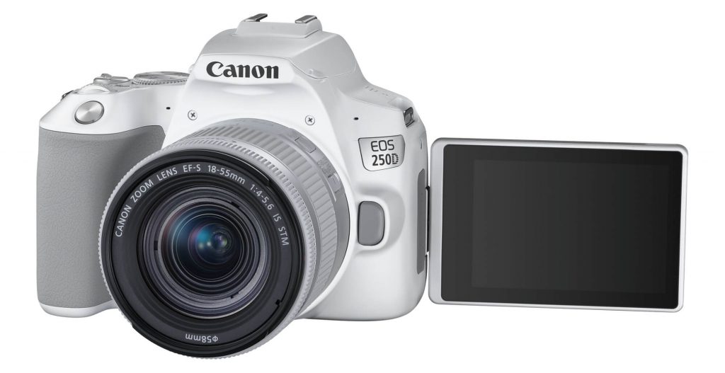 Canon представила новую недорогую зеркальную камеру Canon EOS 250D