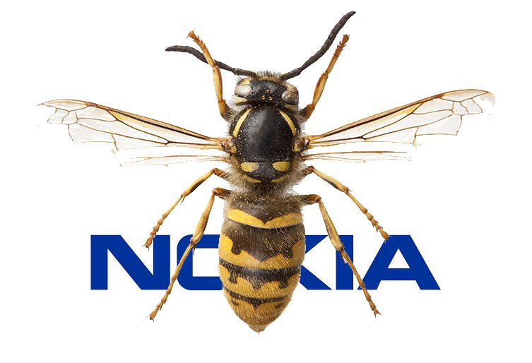 Nokia готовит к анонсу новый смартфон с названием Wasp